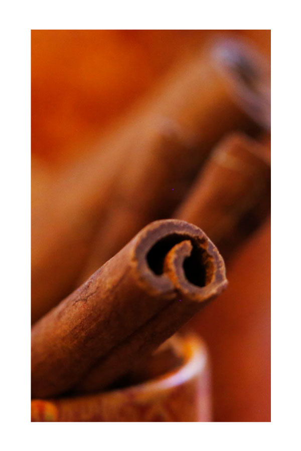 Cannelle de Ceylan