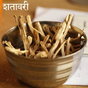 Shatavari Shatavari