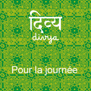 Infusion Divya - pour la journée