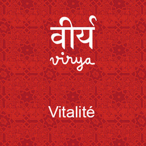Infusion Virya - Vitalité