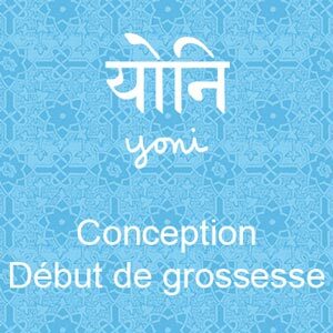 Yoni - Conception et début de la grossesse, infusion biologique ayurvédique