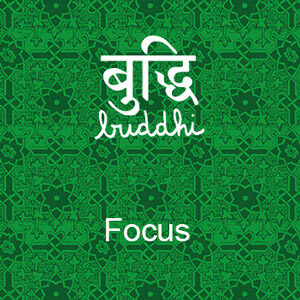 button for infusion buddhi focus