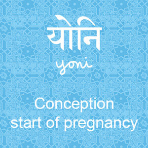 button for infusion Yoni, conception and start of pregnancy