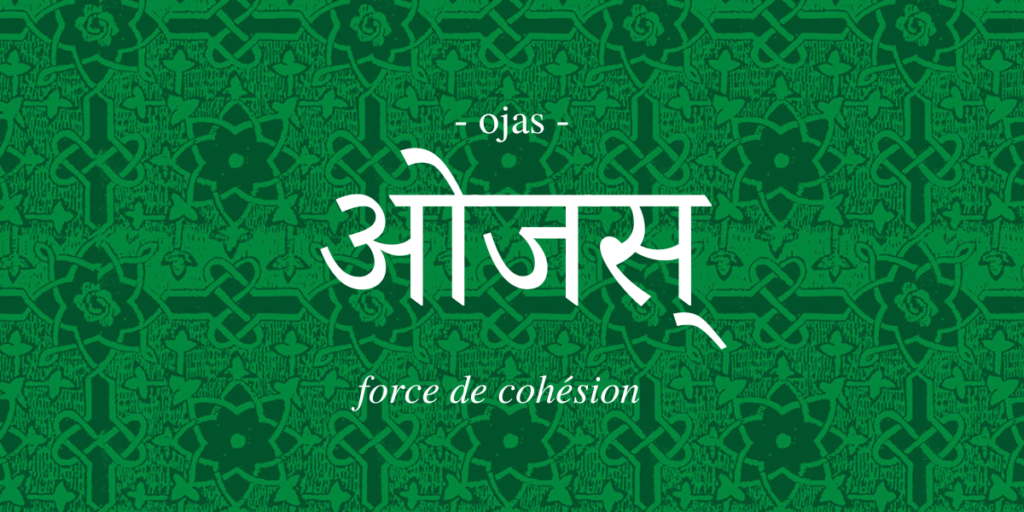 (Français) Ojas – La force de cohésion