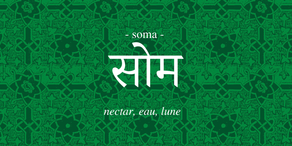 Soma – Le nectar, l’eau, la lune